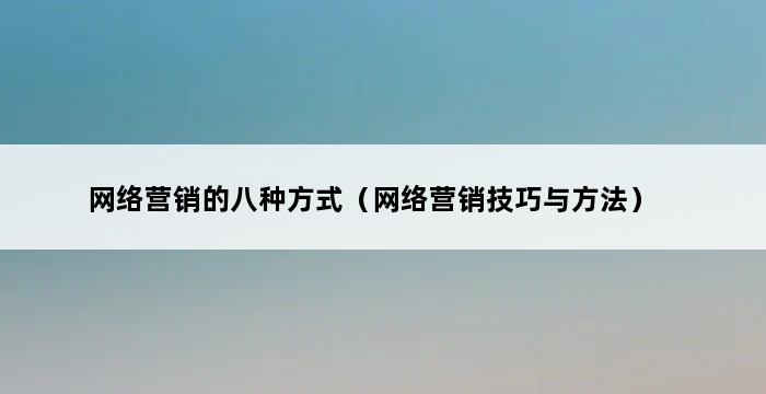 网络营销的八种方式（网络营销技巧与方法） 