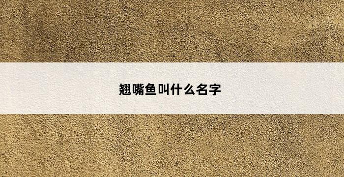 翘嘴鱼叫什么名字 