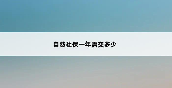 自费社保一年需交多少 