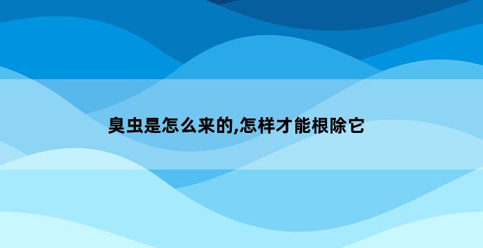 臭虫是怎么来的,怎样才能根除它 