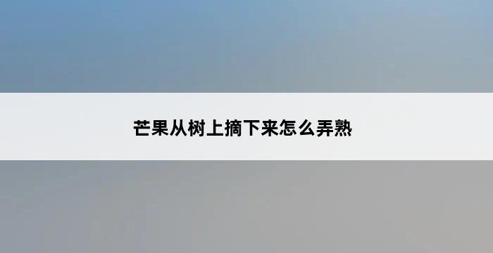 芒果从树上摘下来怎么弄熟 