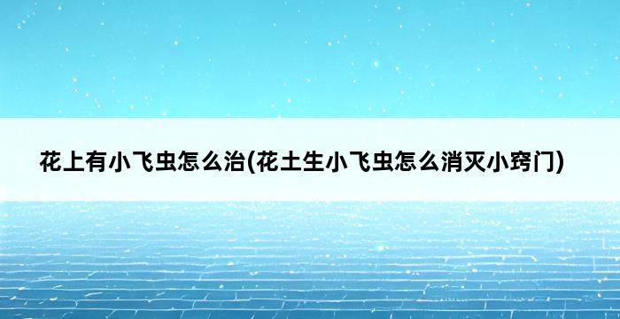 花上有小飞虫怎么治(花土生小飞虫怎么消灭小窍门) 