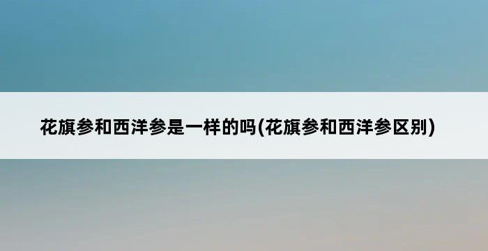 花旗参和西洋参是一样的吗(花旗参和西洋参区别) 