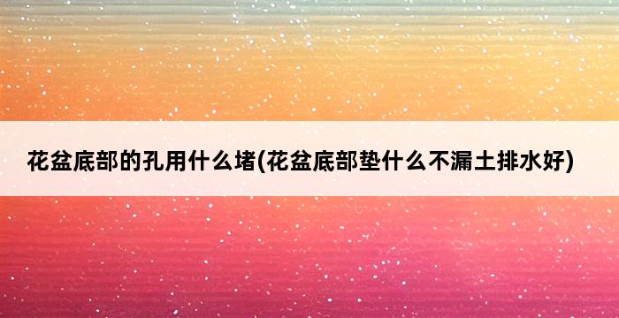 花盆底部的孔用什么堵(花盆底部垫什么不漏土排水好) 