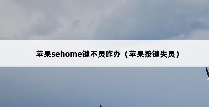 苹果sehome键不灵咋办（苹果按键失灵） 