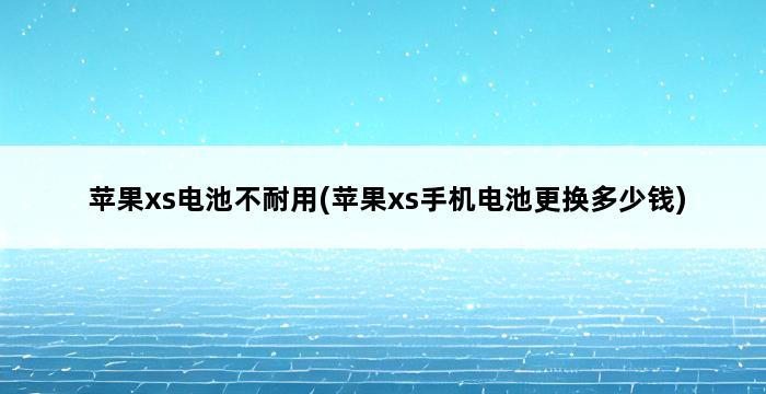 苹果xs电池不耐用(苹果xs手机电池更换多少钱) 