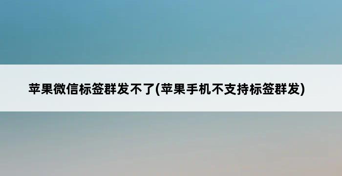 苹果微信标签群发不了(苹果手机不支持标签群发) 