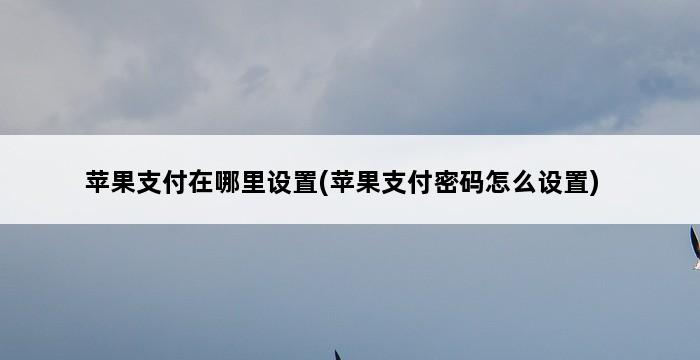 苹果支付在哪里设置(苹果支付密码怎么设置) 