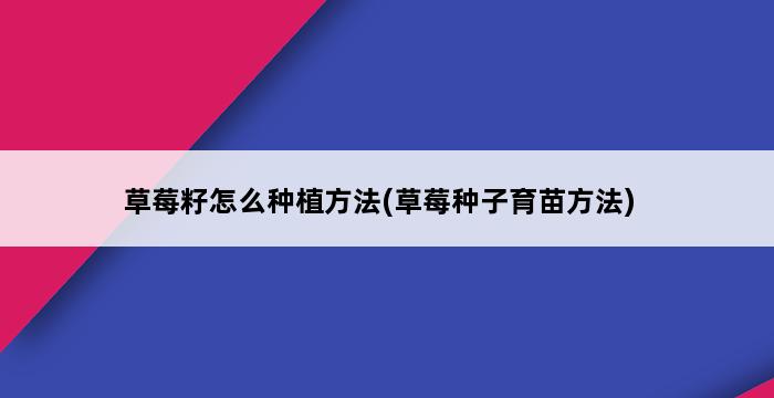 草莓籽怎么种植方法(草莓种子育苗方法) 