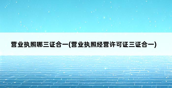 营业执照哪三证合一(营业执照经营许可证三证合一) 