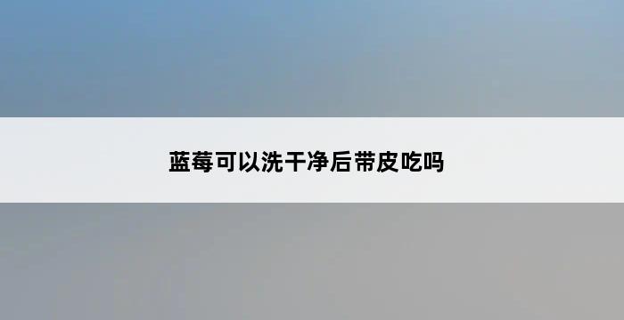 蓝莓可以洗干净后带皮吃吗 