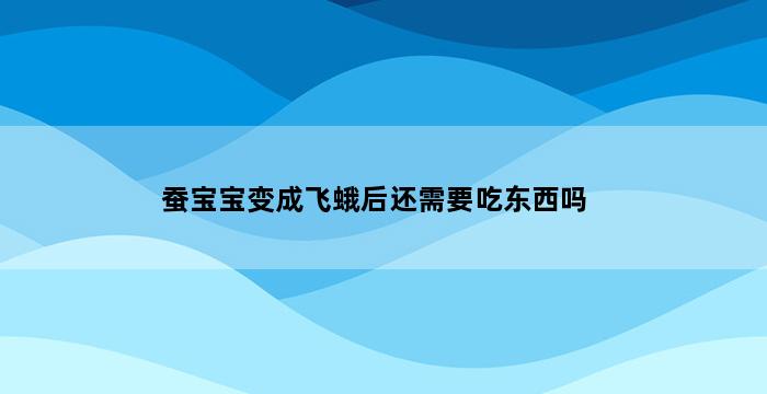 蚕宝宝变成飞蛾后还需要吃东西吗 