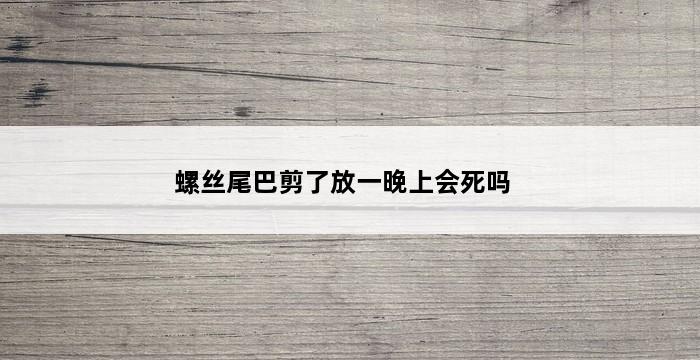 螺丝尾巴剪了放一晚上会死吗 