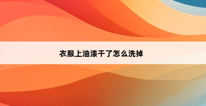 衣服上油漆干了怎么洗掉 