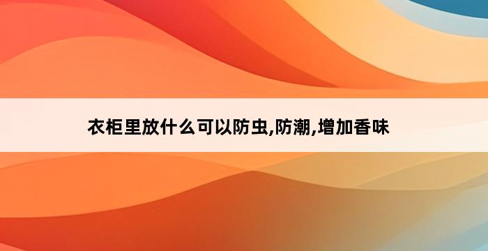 衣柜里放什么可以防虫,防潮,增加香味 