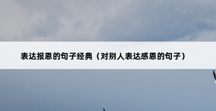 表达报恩的句子经典（对别人表达感恩的句子） 