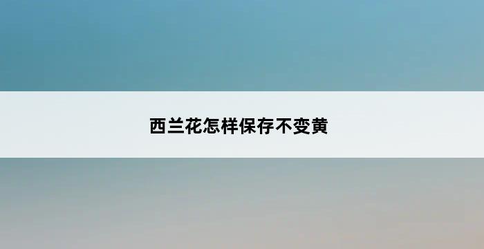 西兰花怎样保存不变黄 