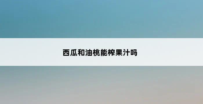 西瓜和油桃能榨果汁吗 