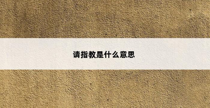 请指教是什么意思 