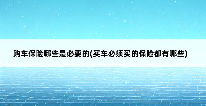 购车保险哪些是必要的(买车必须买的保险都有哪些) 