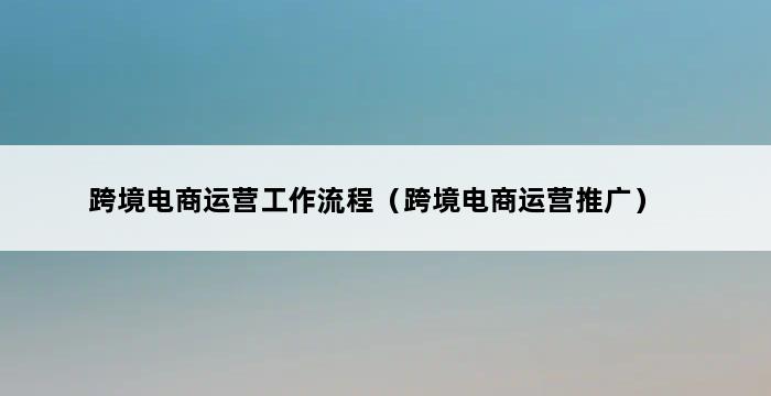 跨境电商运营工作流程（跨境电商运营推广） 