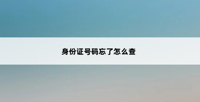 身份证号码忘了怎么查 