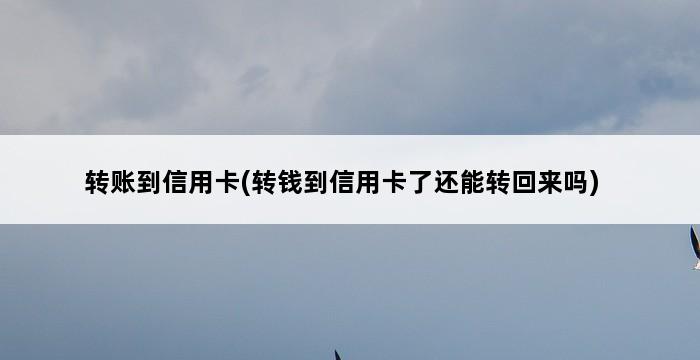 转账到信用卡(转钱到信用卡了还能转回来吗) 