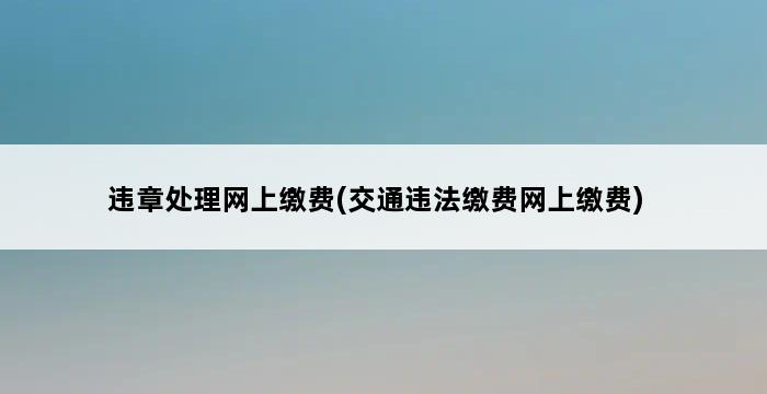 违章处理网上缴费(交通违法缴费网上缴费) 