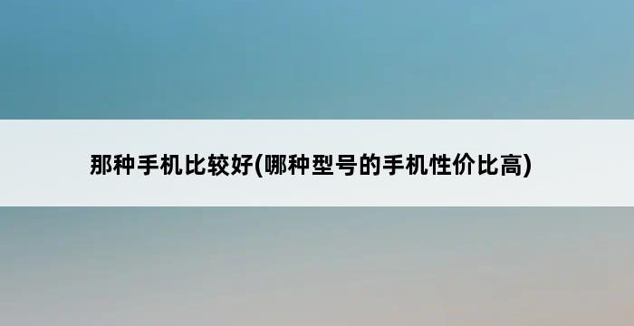 那种手机比较好(哪种型号的手机性价比高) 