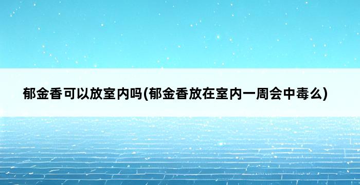 郁金香可以放室内吗(郁金香放在室内一周会中毒么) 