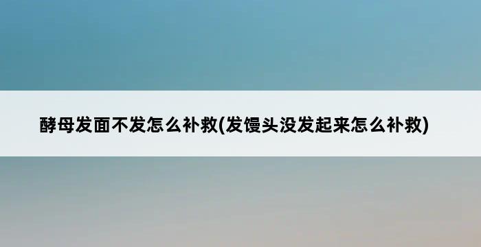 酵母发面不发怎么补救(发馒头没发起来怎么补救) 