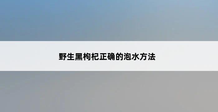 野生黑枸杞正确的泡水方法 