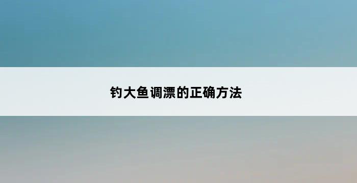 钓大鱼调漂的正确方法 