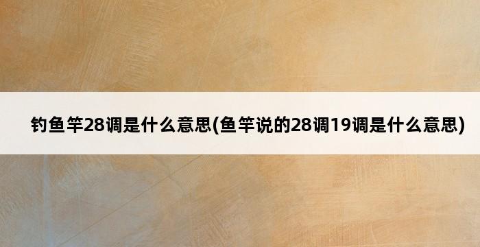 钓鱼竿28调是什么意思(鱼竿说的28调19调是什么意思) 