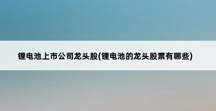 锂电池上市公司龙头股(锂电池的龙头股票有哪些) 