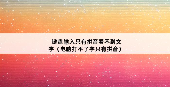 键盘输入只有拼音看不到文字（电脑打不了字只有拼音） 