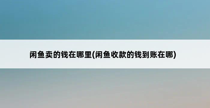 闲鱼卖的钱在哪里(闲鱼收款的钱到账在哪) 