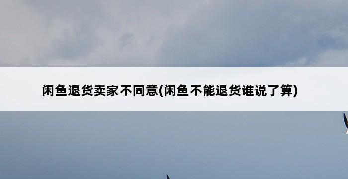 闲鱼退货卖家不同意(闲鱼不能退货谁说了算) 