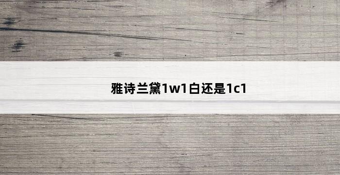 雅诗兰黛1w1白还是1c1 