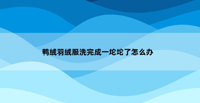 鸭绒羽绒服洗完成一坨坨了怎么办 